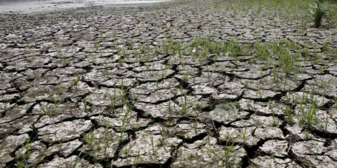 Inflasi Turun, tapi Wapadai El Nino yang Ancam Ketahanan Pangan