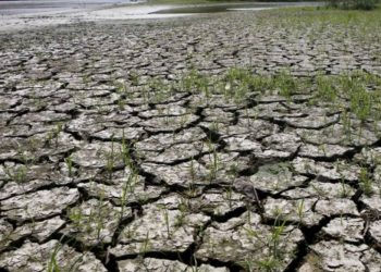 Inflasi Turun, tapi Wapadai El Nino yang Ancam Ketahanan Pangan