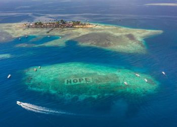 MARS Mencangkan “The Big Build” – Kemitraan Restorasi Terumbu Karang Terbesar dengan Skalabilitas Global