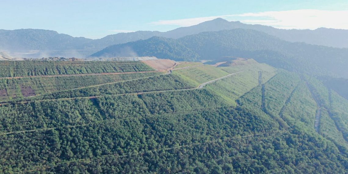 Komitmen Hijaukan Area Eks-Tambang, AMMAN Gunakan Pendekatan Etnobotani dan Libatkan IPB