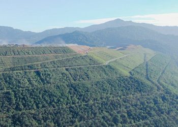 Komitmen Hijaukan Area Eks-Tambang, AMMAN Gunakan Pendekatan Etnobotani dan Libatkan IPB