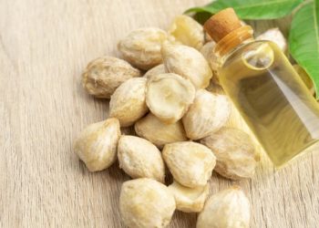 Manfaat Minyak Kemiri yang Banyak Orang Tak Tahu