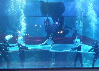 JAQS Kibarkan Bendera Merah Putih dan Lomba Tarik Tambang di Dalam Aquarium Indoor