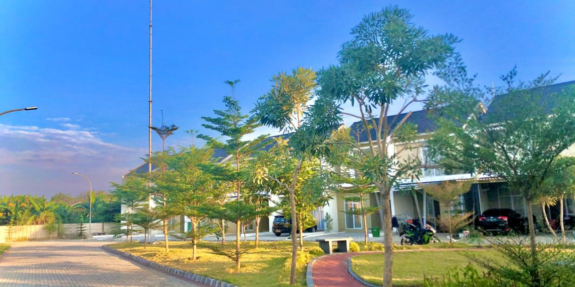 Kalau Bisa Beli, Kenapa Nyewa?