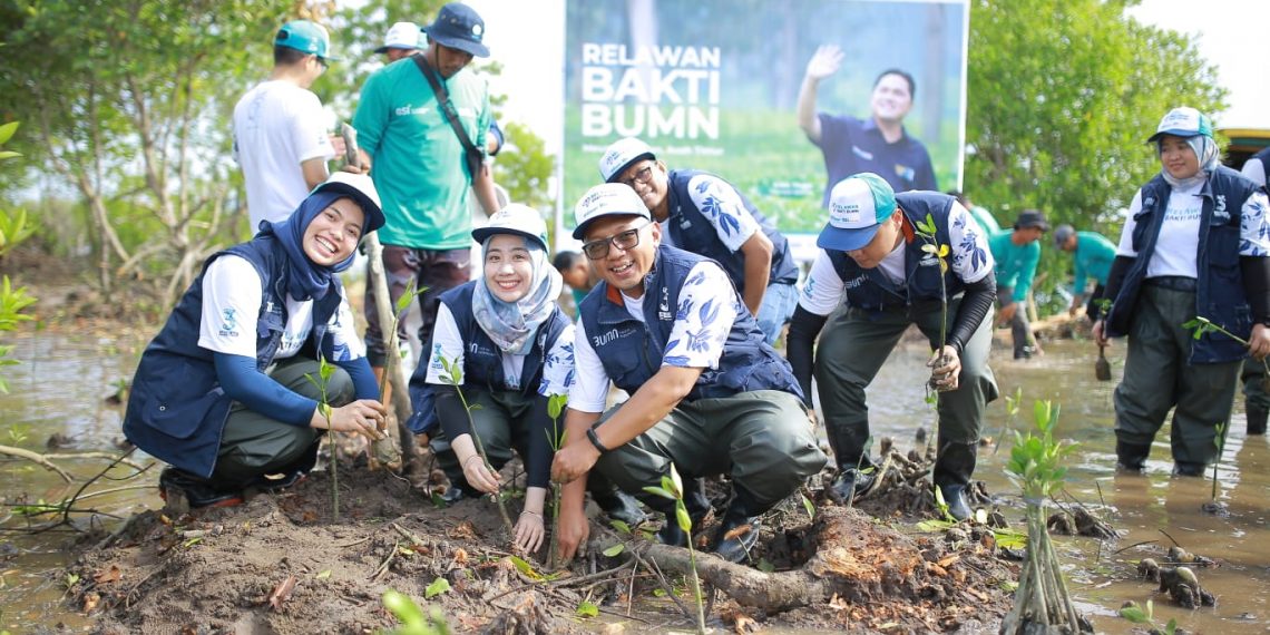 Tanam Bibit Mangrove