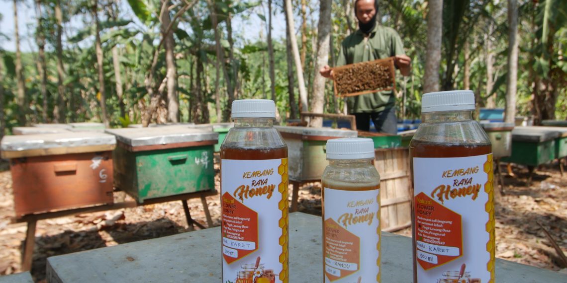 Pemberdayaan UMKM Jamkrindo