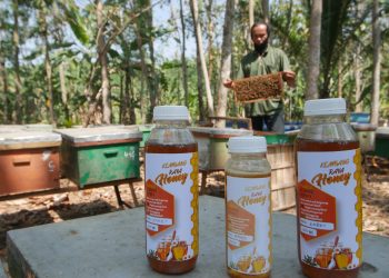 Pemberdayaan UMKM Jamkrindo