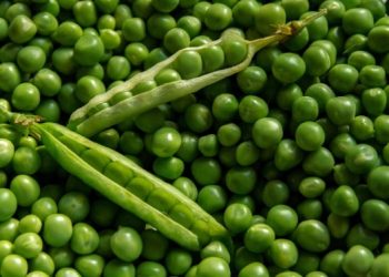 Manfaat Kacang Hijau untuk Kesehatan, Salah Satunya Membantu Menurunkan Berat Badan