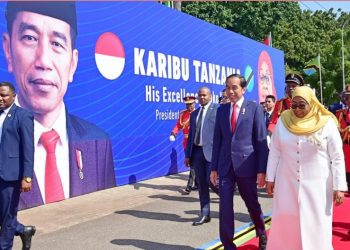 RI Perkuat Kerja Sama Energi dengan Tanzania