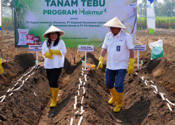 Petrokimia Gresik Lanjutkan Tren Positif Makmur Dan Berkontribusi Dalam Pertahankan Predikat Jawa Timur Sebagai Lumbung Gula Nasional