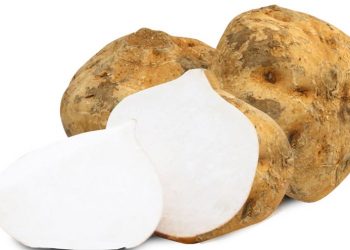 Manfaat Bengkuang untuk Kesehatan