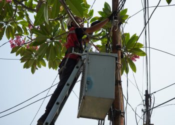 Demi Keamanan dan Kenyamanan, PLN Icon Plus Akan Tertibkan Kabel Fiber Optic Tidak Berizin di Jaringan Milik PLN