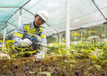 Raih Predikat Leadership AAA Tiga Tahun Berturut-turut, Bukti Nyata Komitmen PT ABM Investama Tbk (ABMM) di Bidang ESG