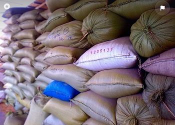 Jaga Stabilitas Harga, Pemerintah Impor 1,5 Juta Ton Beras pada Januari 2024