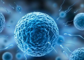 Hati-hati Diet Tak Sehat Bisa Buat Kualitas Sperma Turun