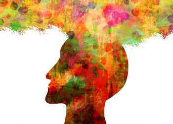 Ini Makanan Terbaik untuk Otak agar Daya Ingat Kuat