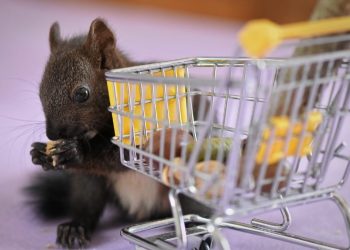 Ini Beberapa Penyebab Kegagalan Para Pengusaha UMKM