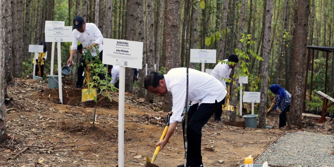 Presiden Joko Widodo Mengunjungi Pembangunan Miniatur Hutan Hujan Tropis di Ibu Kota Nusantara Hasil Kerjasama Otorita IKN dan PT Tirta Investama