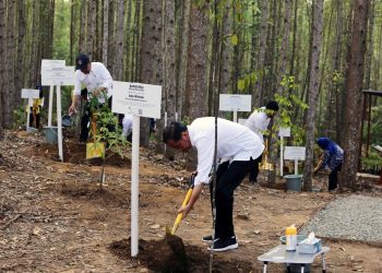 Presiden Joko Widodo Mengunjungi Pembangunan Miniatur Hutan Hujan Tropis di Ibu Kota Nusantara Hasil Kerjasama Otorita IKN dan PT Tirta Investama