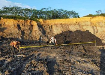 Pembentukan Satgas Tambang Ilegal Tunggu Keputusan Presiden Jokowi