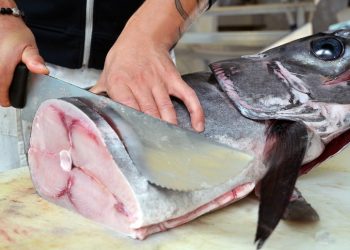 Sebagian Besar Ikan Sehat dan Sarat Gizi, Tapi Tidak dengan yang ini