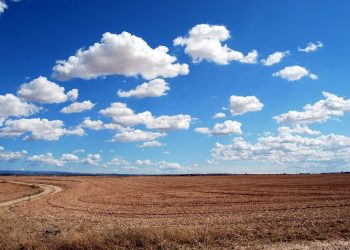 Dimiliki Prabowo, ini yang Dinamakan Tanah HGU