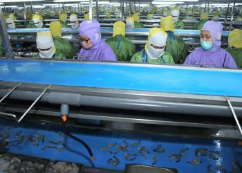 Bmi Komitmen Mendukung Peningkatan Kualitas Hasil Perikanan Di Indonesia