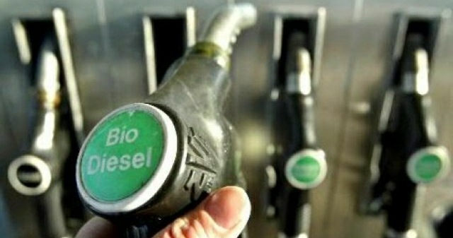 Ekspor Biodiesel RI Merosot hingga 70 Persen, Ini Penyebabnya