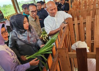 Majukan Ekonomi Desa, BSI Bersinergi Dengan BSI Maslahat Kembangkan Klaster Peternakan di Mojokerto