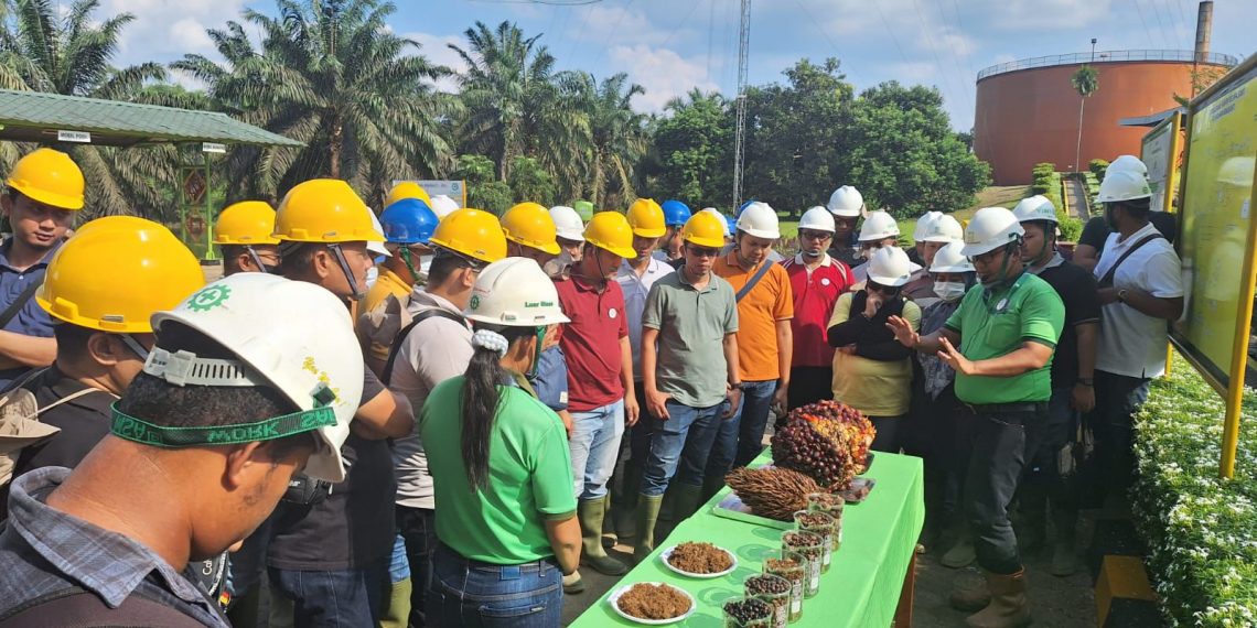 Dorong Sustainable Banking,BSI Dukung Pembiayaan Sawit Bagi Petani Plasma