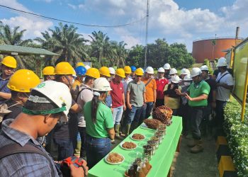 Dorong Sustainable Banking,BSI Dukung Pembiayaan Sawit Bagi Petani Plasma