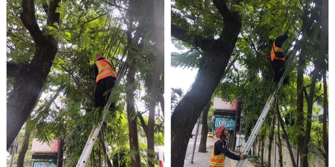 Demi Bandung yang Lebih Indah, PLN Icon Plus dan Diskominfo Kota Bandung Tertibkan Kabel Fiber Optik