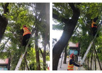 Demi Bandung yang Lebih Indah, PLN Icon Plus dan Diskominfo Kota Bandung Tertibkan Kabel Fiber Optik
