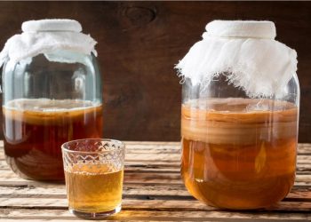Riset University of North Carolina : Teh Kombucha Efektif Turunkan Kadar Trigliserida Tinggi