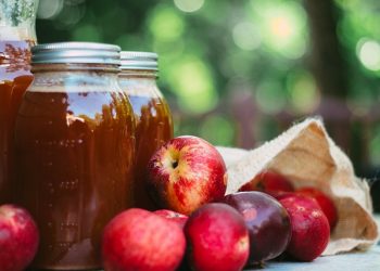 Manfaat Sari Cuka Apel Bagi Kesehatan