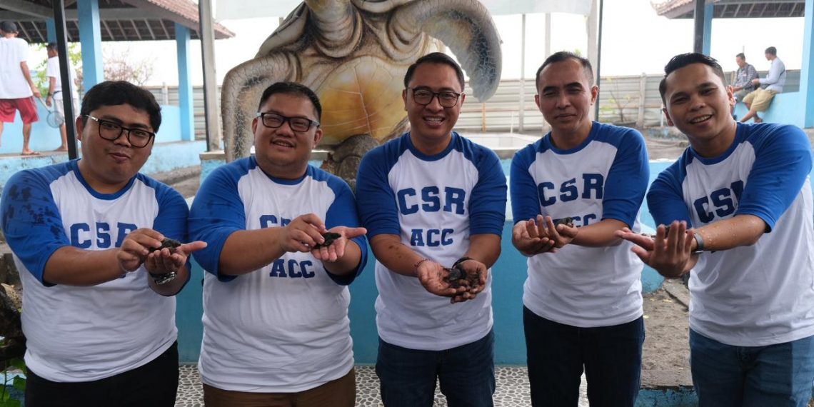 ACC Dukung Konservasi Penyu di Bali