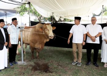 Bank Mandiri Bagikan Daging 927 Hewan Kurban Idul Adha 1445 H ke Masyarakat