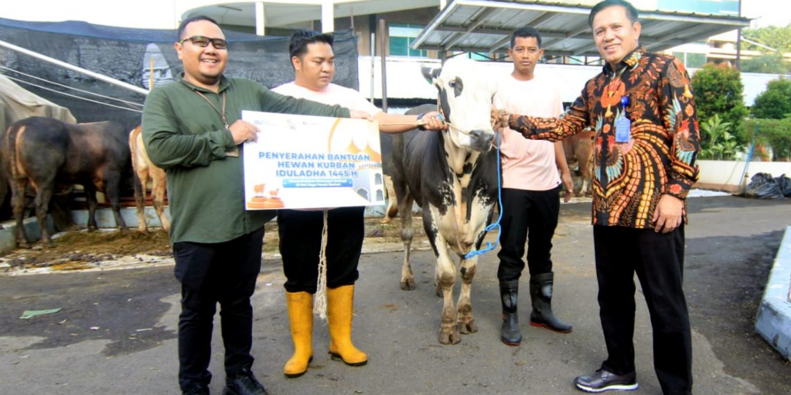 Jamkrindo Bagikan Hewan Qurban