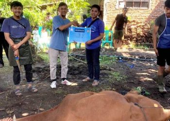 Didimax Berbagi, Tebar 10 Sapi Kurban di Beberapa Tempat