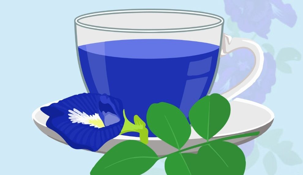 Ini Efek Samping Teh Bunga Telang yang Tak Banyak Terekspos