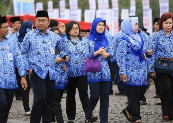 Lowongan CPNS 2024 Segera Dibuka, Intip Syarat-syaratnya di Sini