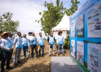 Komitmen Terhadap Keberlanjutan Lingkungan, Pelita Air Bersama Pertamina Tanam 10 Ribu Pohon di Jawa Timur