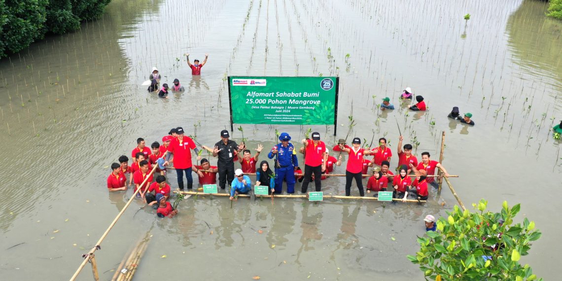 Peringati HUT ke-25, Alfamart Lestari Lingkungan Tanam 25.000 Bibit Mangrove di Muara Gembong, Upaya Cegah Abrasi Pesisir Pantai