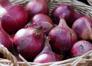 Harga Bawang Merah Hancur, Hanya 40% di Bawah Harga Acuan Pemerintah