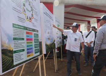 Petrokimia Gresik Melalui Program Makmur Besutan Erick Thohir Berhasil Tingkatkan Pendapatan Lebih Dari 166 Ribu Petani Di Seluruh Indonesia