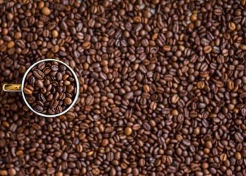 Permintaan Eropa Melonjak, Ekspor Kopi Indonesia Tumbuh Positif