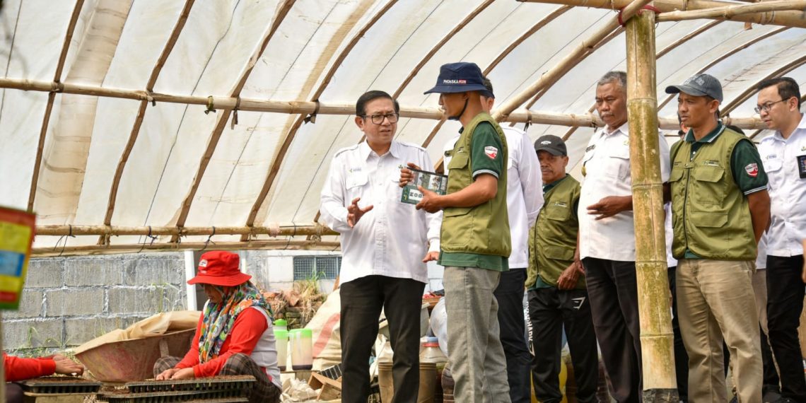 Tawangargo Smart-Eco Farming Village Berhasil Ubah Pusat Hortikulkutura Desa Tawangargo Jadi Contoh Masa Depan Pertanian Berkelanjutan