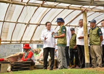 Tawangargo Smart-Eco Farming Village Berhasil Ubah Pusat Hortikulkutura Desa Tawangargo Jadi Contoh Masa Depan Pertanian Berkelanjutan