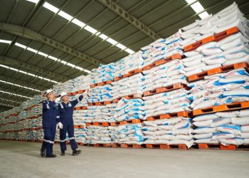 Distribusikan Pupuk Bersubsidi Mulai Awal Januari 2025, Petrokimia Gresik Siapkan Stok Lebih Dari 372 Ribu Ton