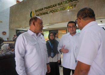 Kemenekraf Gandeng BGN, Perkuat Industri Kreatif Kuliner dalam Program MBG